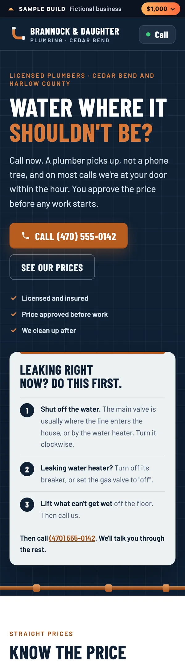 Brannock and Daughter Plumbing sample page on a phone: Water where it shouldn't be?